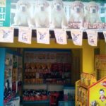 pet-planet-1-pet-shops-james-long-sarani-kolkata